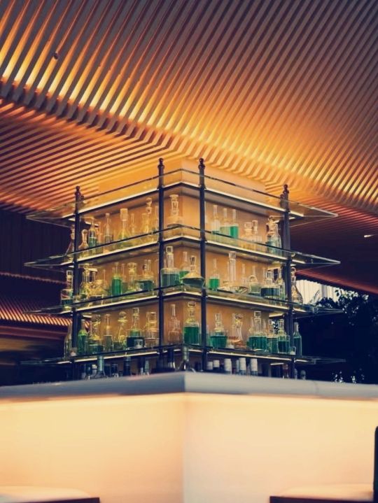 東京虎之門艾迪遜酒店：高性價比之選