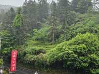 Jingganshan mountain,jiangxi,china