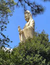 《季仑酒店》您旅途中的完美之選