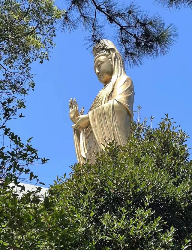 《季仑酒店》您旅途中的完美之選