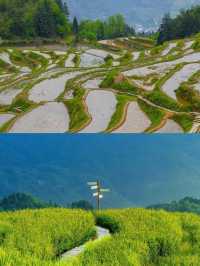 帶爸媽遊麗水｜不自駕都能解鎖「江南悠閒感」