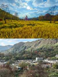 塔川森林公園，邂逅秋天的童話！