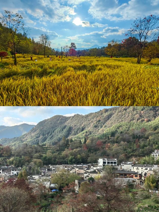 塔川森林公園，邂逅秋天的童話！