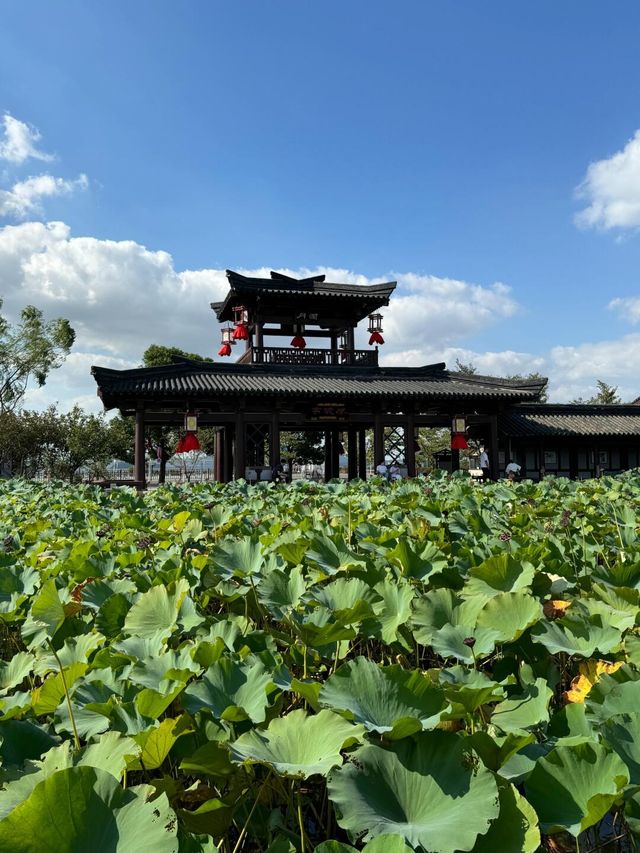 無錫三國水滸城 | 穿越千年的夏日古風盛宴    【座標與交通】   無錫濱湖區山水西路1