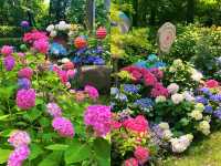 上海共青森林公園
