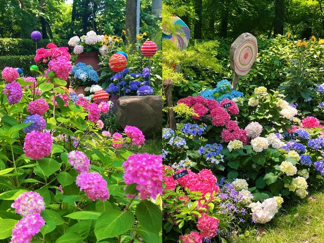 上海共青森林公園