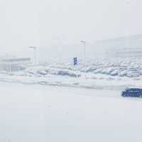 冬日童話：去北海道嘅次數只有0次同N次
