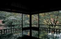 京都：在古建築與千年時光擦肩而過