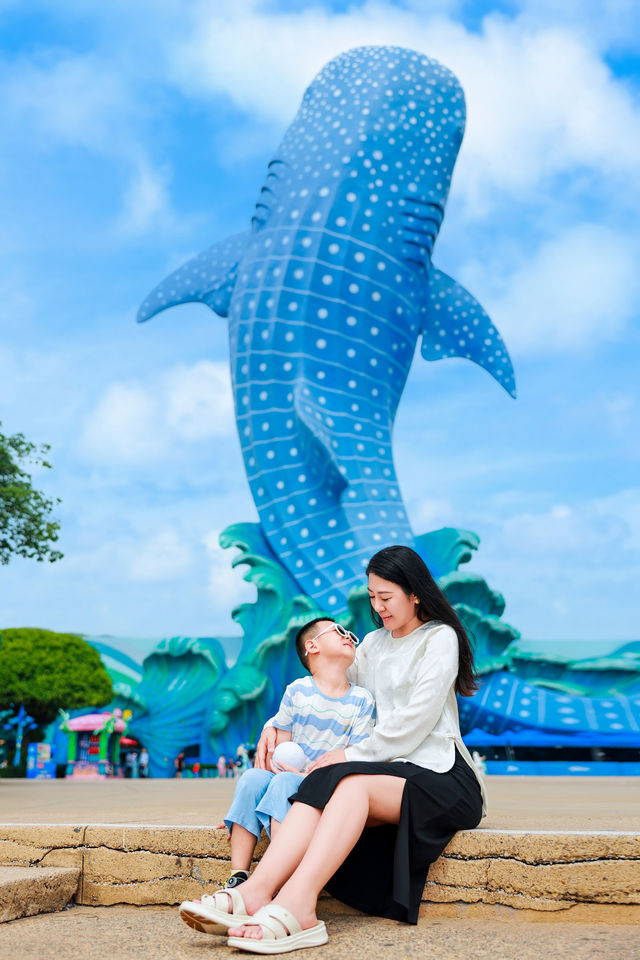珠海長隆海洋王國跟拍攻略，超值體驗！
