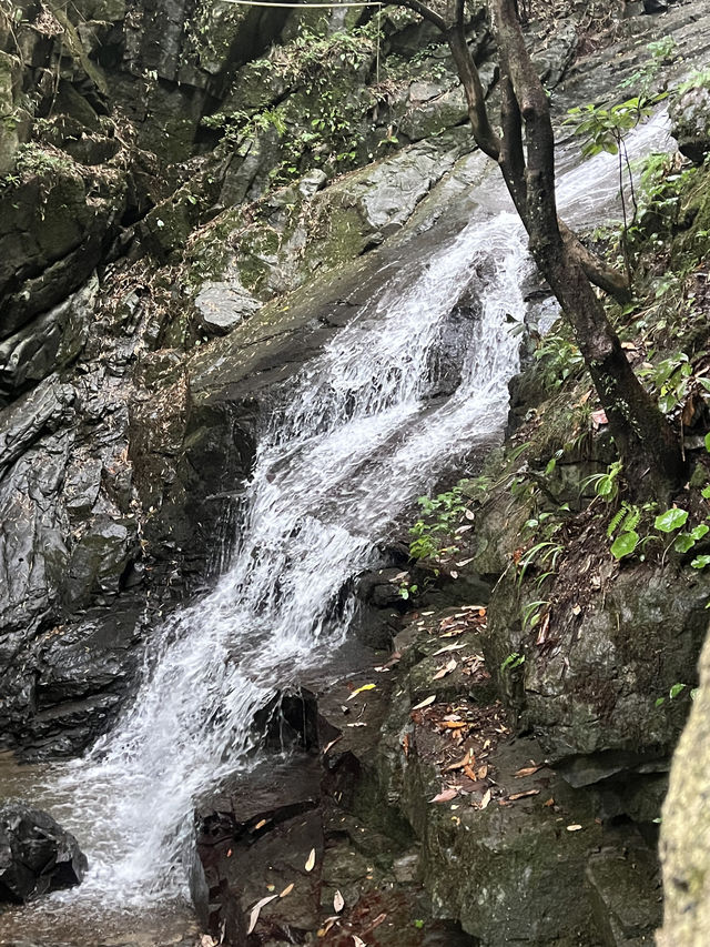 安吉避暑度假指南清涼玩法