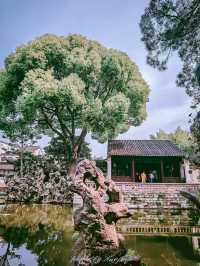 獅子林｜700年禪意園林嘅前世今生