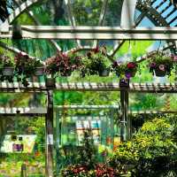 香港動植物公園！呢個冷門公園火烈鳥喺陽光下靚到令人窒息