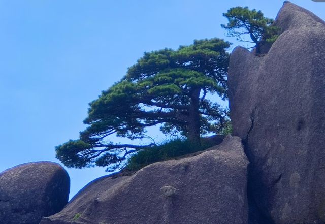 安徽黃山市｜黃山之巔·雲海仙境