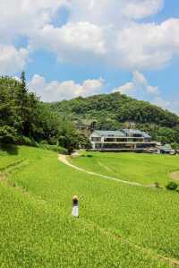 廣州地鐵可達我願意去無數次的世外桃源