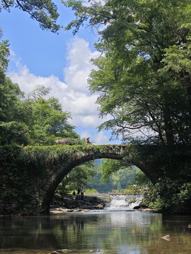 婺源旅行攻略出發前必睇～