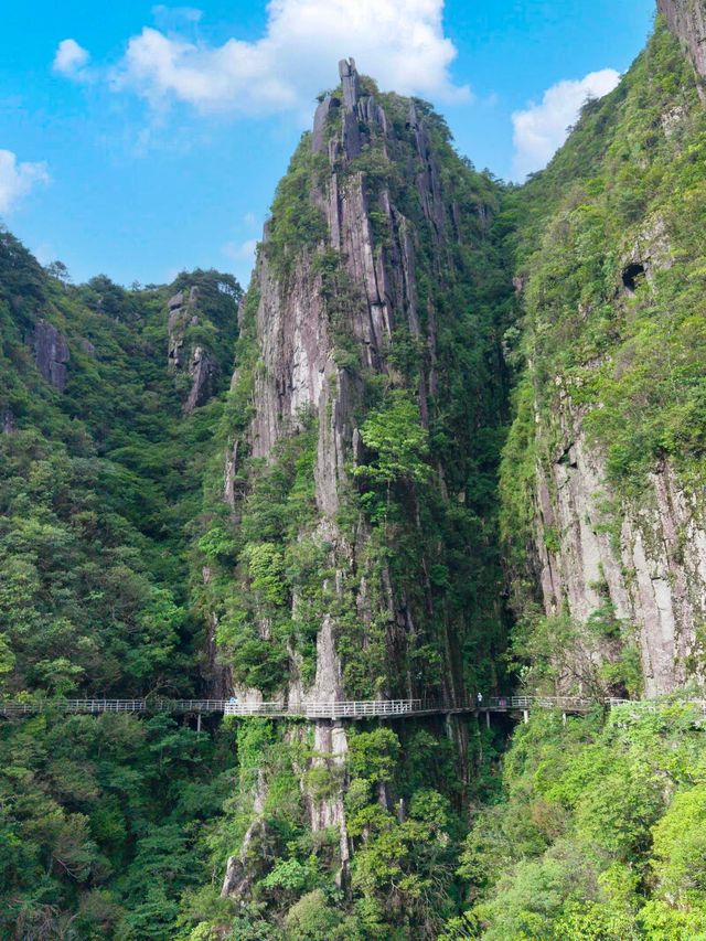 比起人潮洶湧嘅南昌，我更愛呢座藏喺江西嘅小眾山水之城——吉