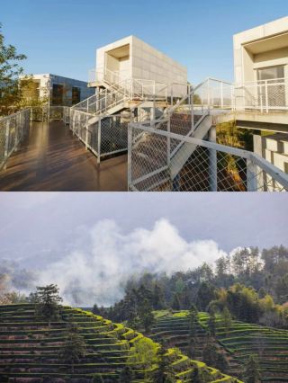 How to Choose a Homestay in Suichang? Look Here