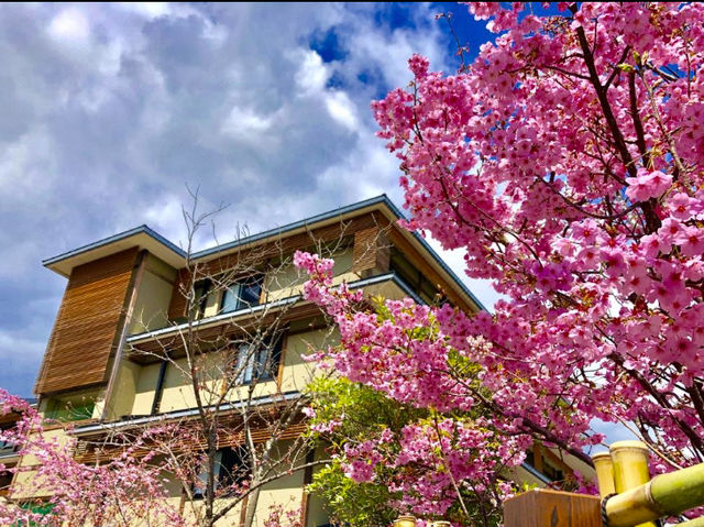 嵐山の絶景と癒しを満喫！花伝抄温泉旅館の宿泊完全ガイド】​​