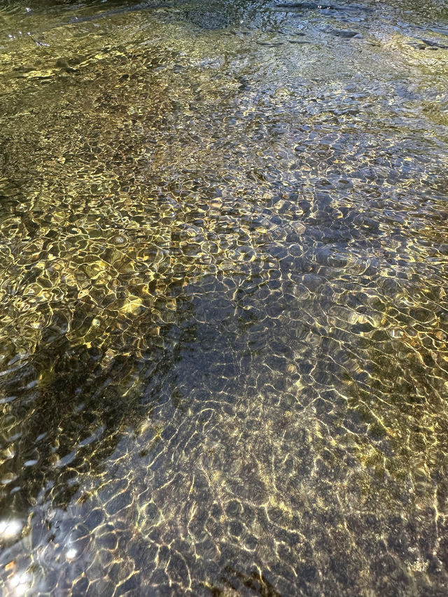 富陽大葛村人少景美溯溪玩水好去處！