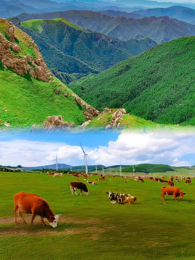 有一抹綠色在天空，空中草原