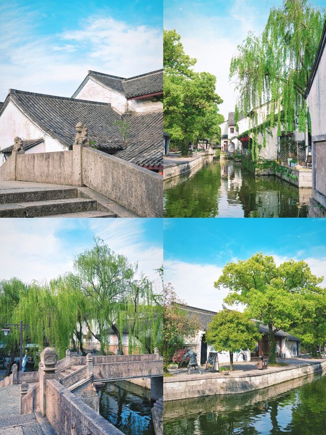 穿越百年時光｜在紹興魯鎮遇見魯迅筆下的江南