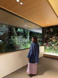沿著伊豆回到箱根，住了兩日吉池旅館，終於明白為什麼它被說成「箱根必住」——看山看海看錦鯉，泡溫泉飲清酒，時間彷彿都慢了下來🍶