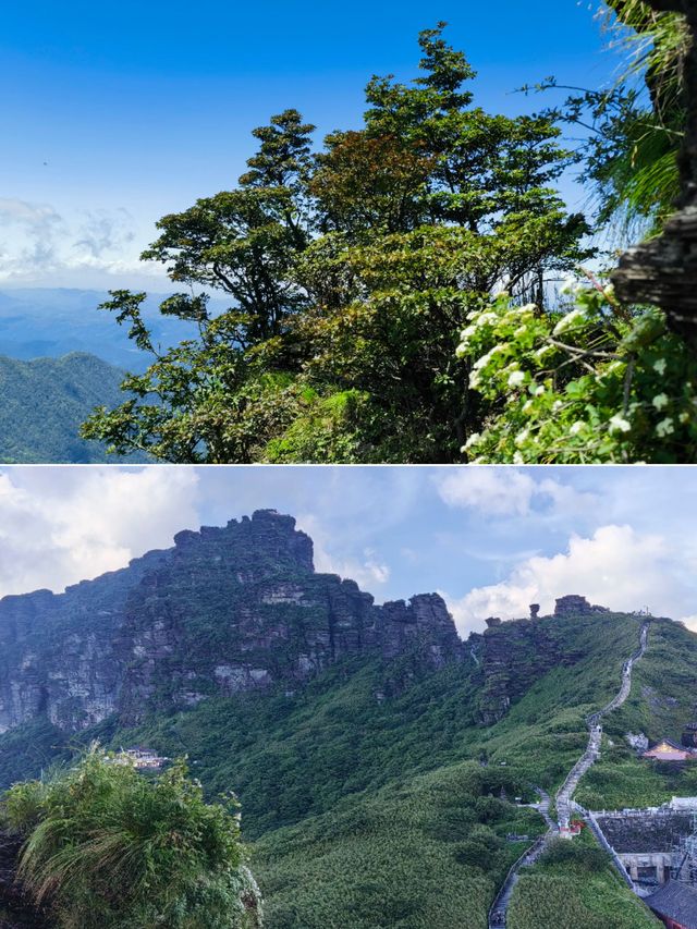 梵淨山涼方｜13人團享受22℃夏天