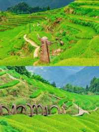 麗水夏日秘境｜蛟龍潭避暑指南