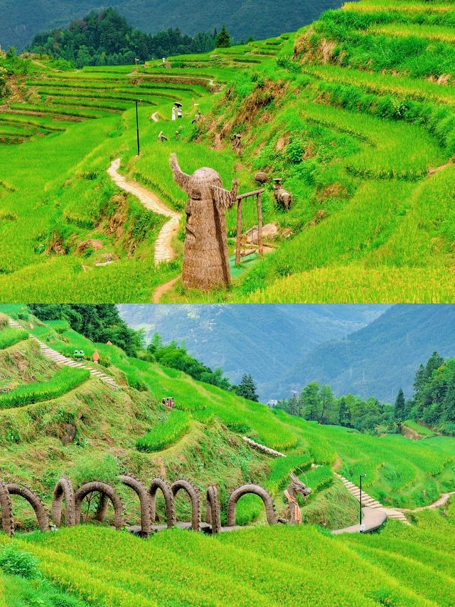 麗水夏日秘境｜蛟龍潭避暑指南