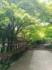 日本小眾秘境｜勝丸寺一日靜心之旅竹林禪意穿越千年！  關西隱藏款！京都後花園裡的唐代遺風 