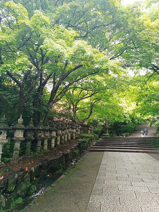 日本小眾秘境｜勝丸寺一日靜心之旅竹林禪意穿越千年！  關西隱藏款！京都後花園裡的唐代遺風 