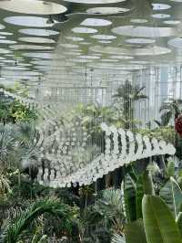 Discover the Beauty of Shanghai Greenhouse Garden! 🌼