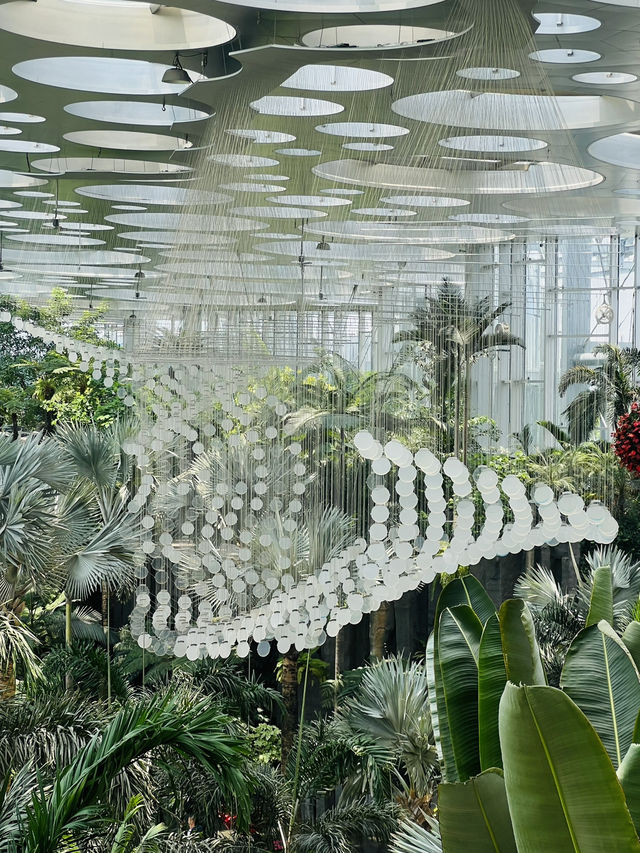 Discover the Beauty of Shanghai Greenhouse Garden! 🌼