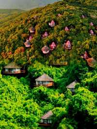 來三亞必住一次樹屋酒店！喺山野間避世度假