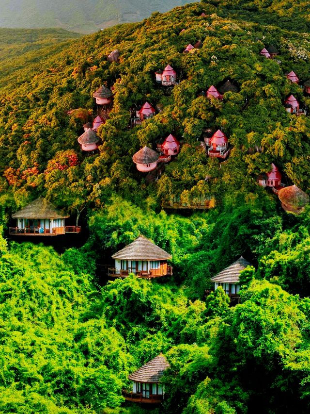 來三亞必住一次樹屋酒店！喺山野間避世度假