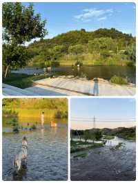 【安吉】免費溯溪6個玩水點，快啲收藏啦