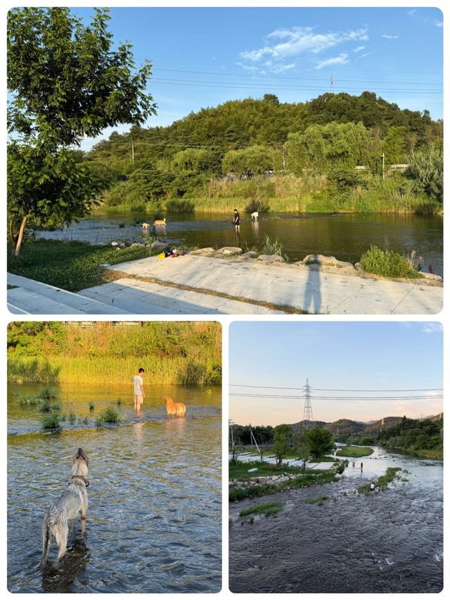 【安吉】免費溯溪6個玩水點，快啲收藏啦