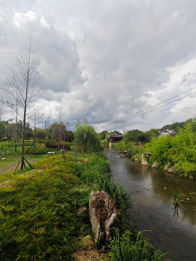 【貴州安順植物園向日葵花海深度遊】21℃清涼避暑
