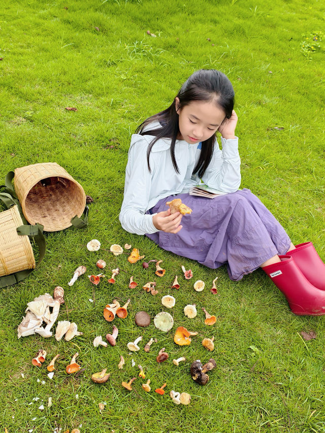 冷門好玩執菌採茶普洱四天三晚親子全攻略