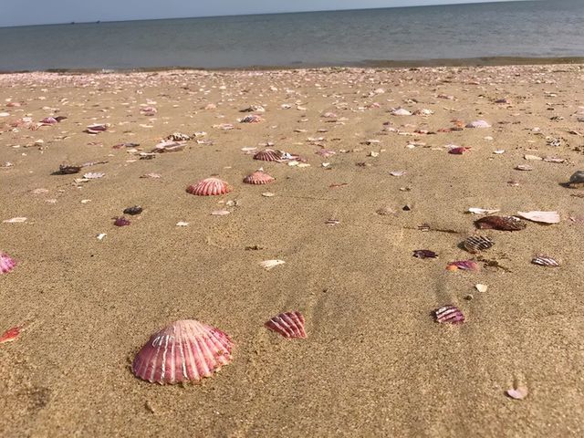 煙台養馬島必打卡攻略