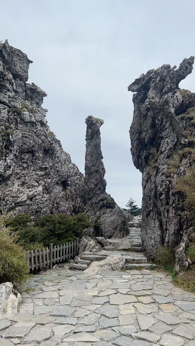 剛從神農架返嚟！嘔心瀝血整理8-9月避伏指南，20℃嘅清涼太正了