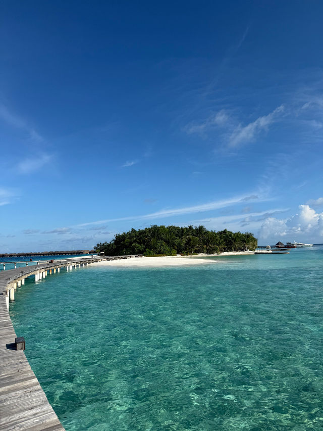 Unforgettable Honeymoon at Coco Bodu Hithi