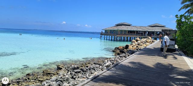 A Heartfelt Return to Sun Island