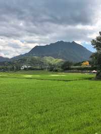 浙江避暑天花板安吉2大秘境28℃太涼快！