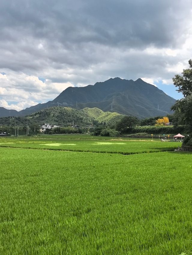 浙江避暑天花板安吉2大秘境28℃太涼快！