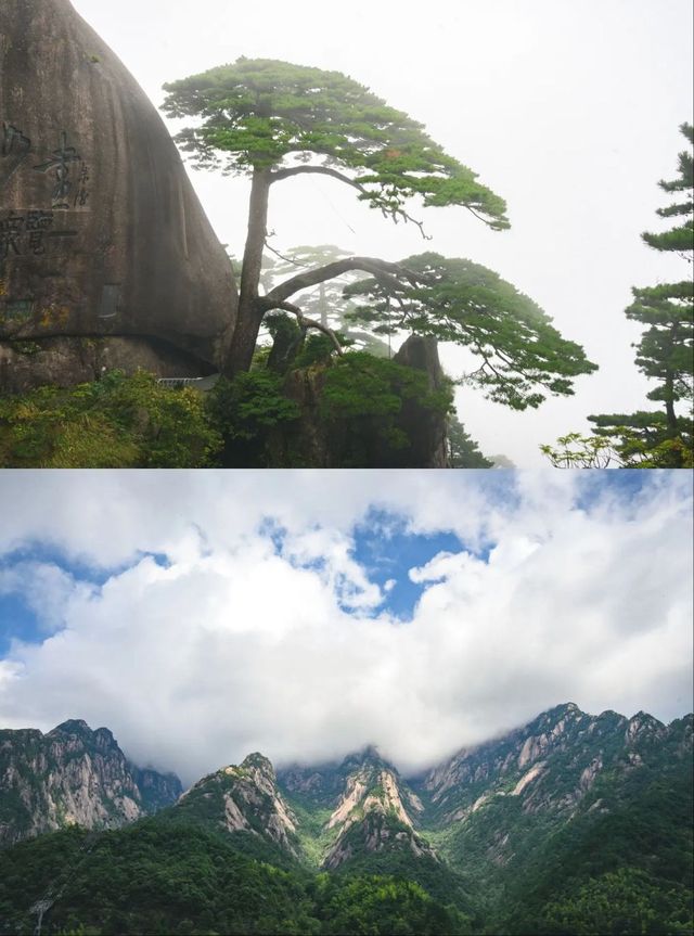 總結篇｜分享國慶來黃山旅行的注意事項