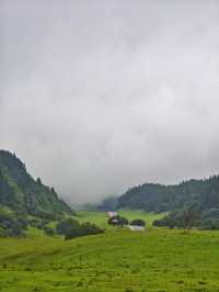 重慶仙女山，邂逅南國草原，探秘原始森林