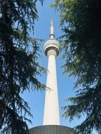Wuhan Urban Hiking Route - Guishan Mountain