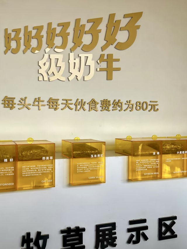 田園牧歌，牧場裡的溫暖約定：故城縣認養一頭牛景區