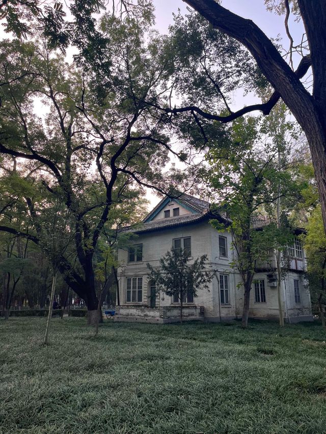 山西旅遊必打卡！百年晉農大絕美民國校園